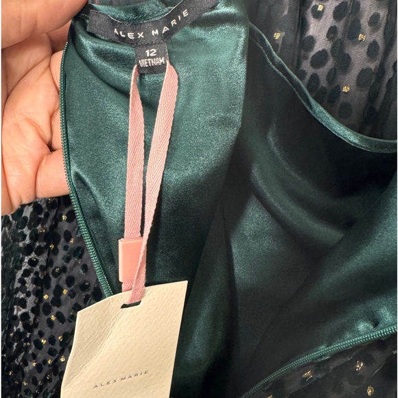 Alex Marie Emerald Green Victorian Feminine High Neck Holiday Dress| Size 12 - Picture 12 of 13